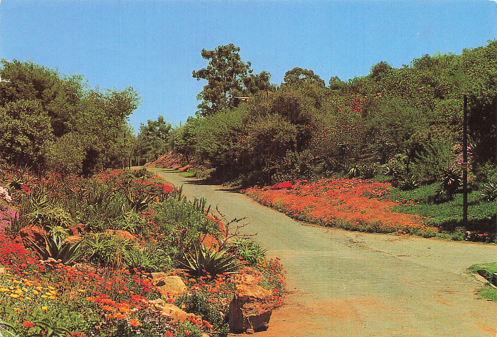 SOUTH AFRICA JOHANNESBURG JOHANNESBURG eBay